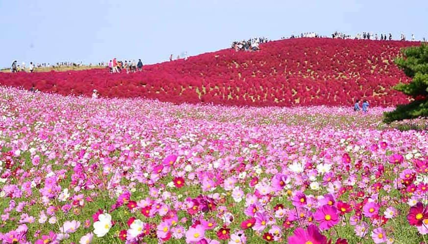 オズモール編集部のインスタグラム