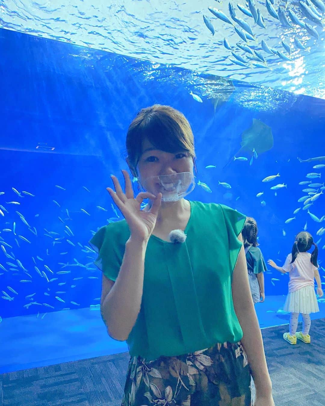 滝香織さんのインスタグラム写真 - (滝香織Instagram)「. 水族館好き。  ぼーっと眺めてるのが落ち着く。  #足摺海洋館 #水族館 #aquarium #高知 #高知旅行 #足摺岬 #愛媛 #よるマチ #あいテレビ #アナウンサー @kaiyoukan  @kaorin_taki」9月4日 19時40分 - kaorin_taki