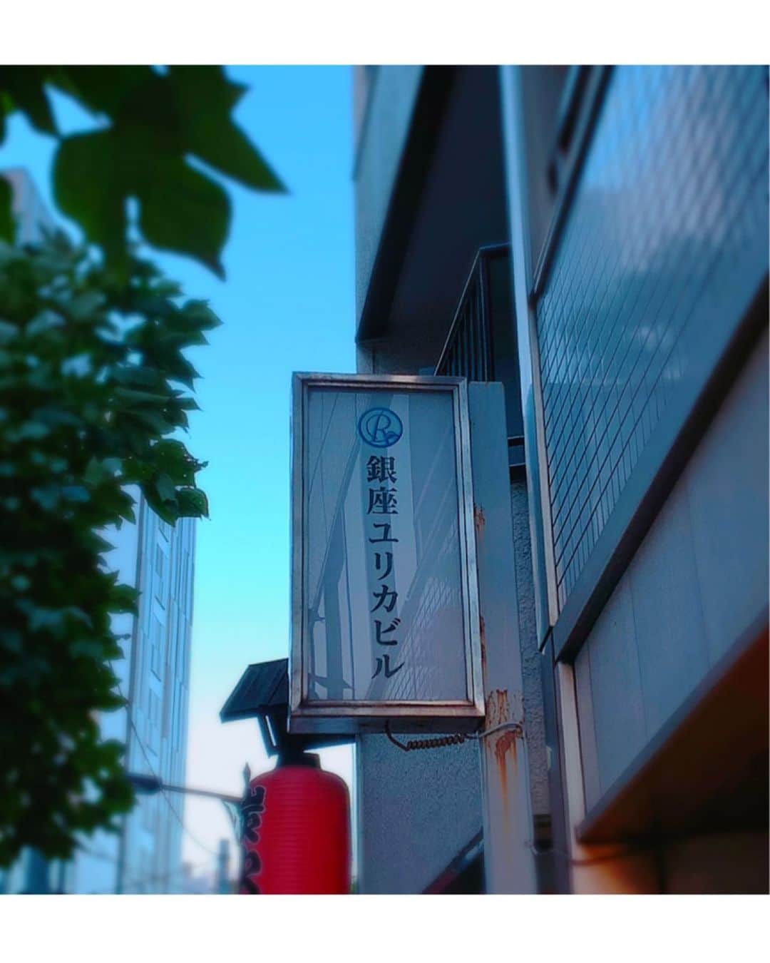 百合華さんのインスタグラム写真 - (百合華Instagram)「東京銀座一丁目にある『MERCER BRUNCH GINZA TERRACE』にて、ビューティーキャンプの合間に近畿地区メンバーとカフェタイム🍽💕  開放的でお洒落な空間がレッスンの疲れを癒してくれました💖  レッスンスタジオからも歩いて行けちゃうのでお散歩中にユリカビルww🎶  愉しいカフェタイム後はスティーブンによるウォーキングレッスン開始💦💦  https://suzuri.jp/elvis_merson/4685394/t-shirt/s/white  #japan #日本 #tokyo  #東京 #銀座 #カフェ #mercerbrunchginzaterrace #マーサブランチ銀座テラス  #開放的 #テラス席 #お洒落 #癒される #癒し空間  #beautycamp  #ビューティーキャンプ #ウォーキングレッスン #ランウェイレッスン #スピーチレッスン #メイクレッスン #近畿地区 #ファイナリスト #全国ファイナル #ミスコン #mrsmsearthjapan2020 #ビジョビ」9月4日 20時06分 - yurika.lovelily