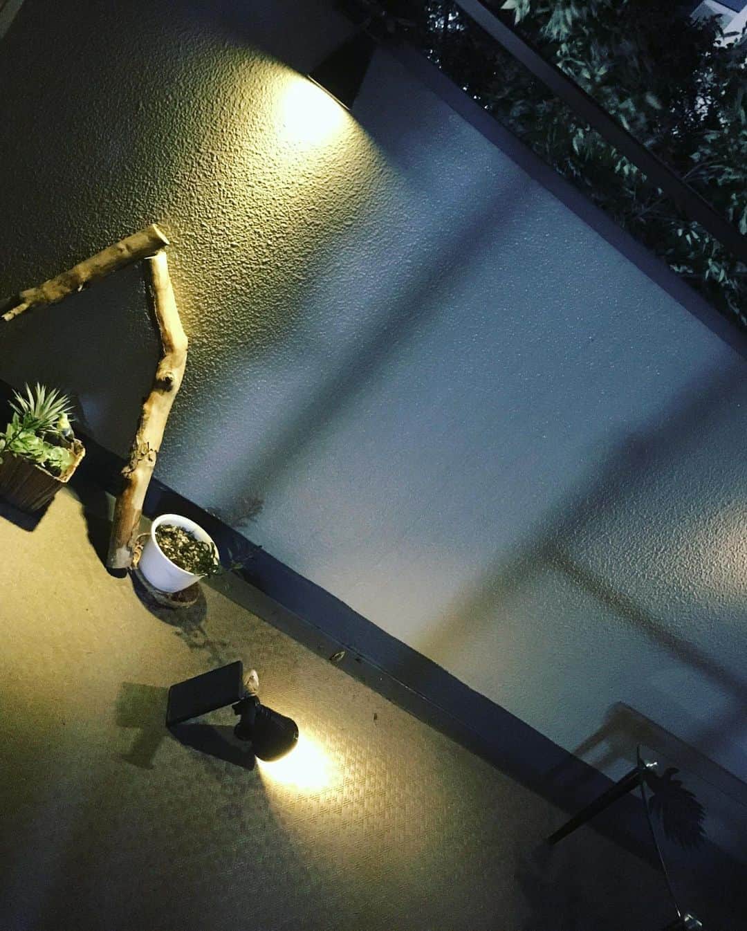 大和未知さんのインスタグラム写真 - (大和未知Instagram)「まんげつさ〜ん🌕💦  　ベランダで初お月見しようと  用意したのに、雨だった件☔️😞  #えーん😭  #ベランダこれからウッドデッキに #diy好き  #照明好きと繋がりたい」9月4日 20時13分 - michi.minnashiawase