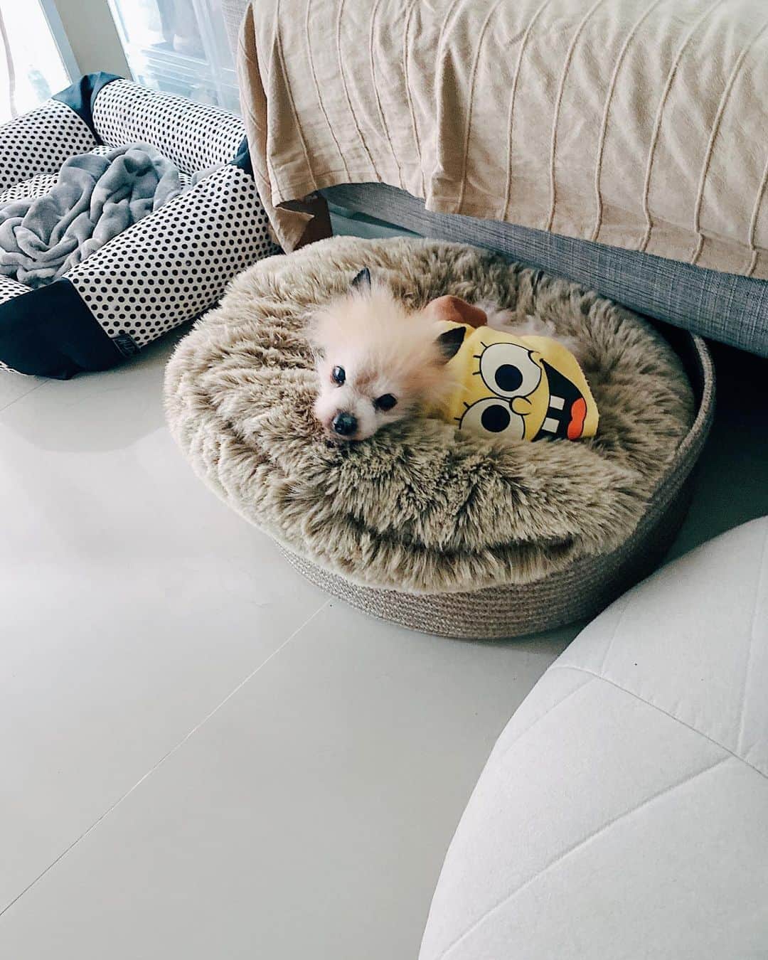 r_oseのインスタグラム：「Hello there🧽〰️」