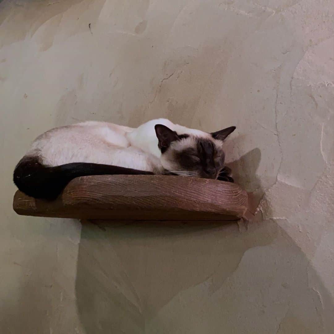 相羽瑠奈のグルメインスタ