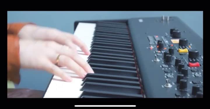 のインスタグラム：「猫 - DISH// カバーさせていただきました！ ぜひYouTube channelをチェックしてみてください。  #猫  #DISH  #sayacan  #沙夜香」