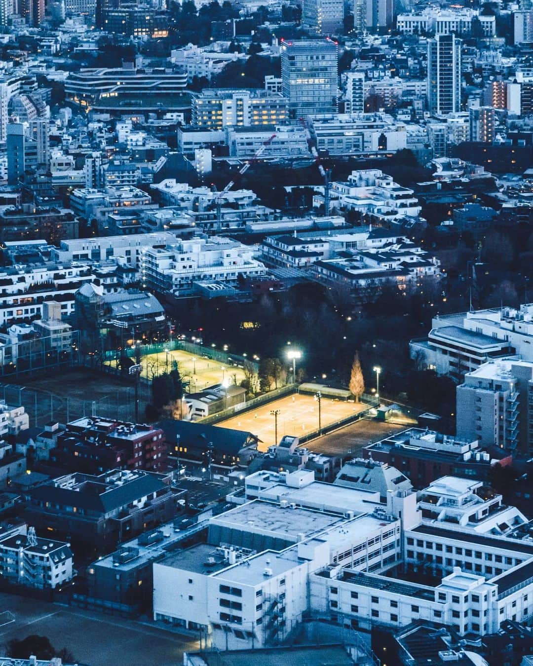 woody_chaiのインスタグラム：「Open Court」