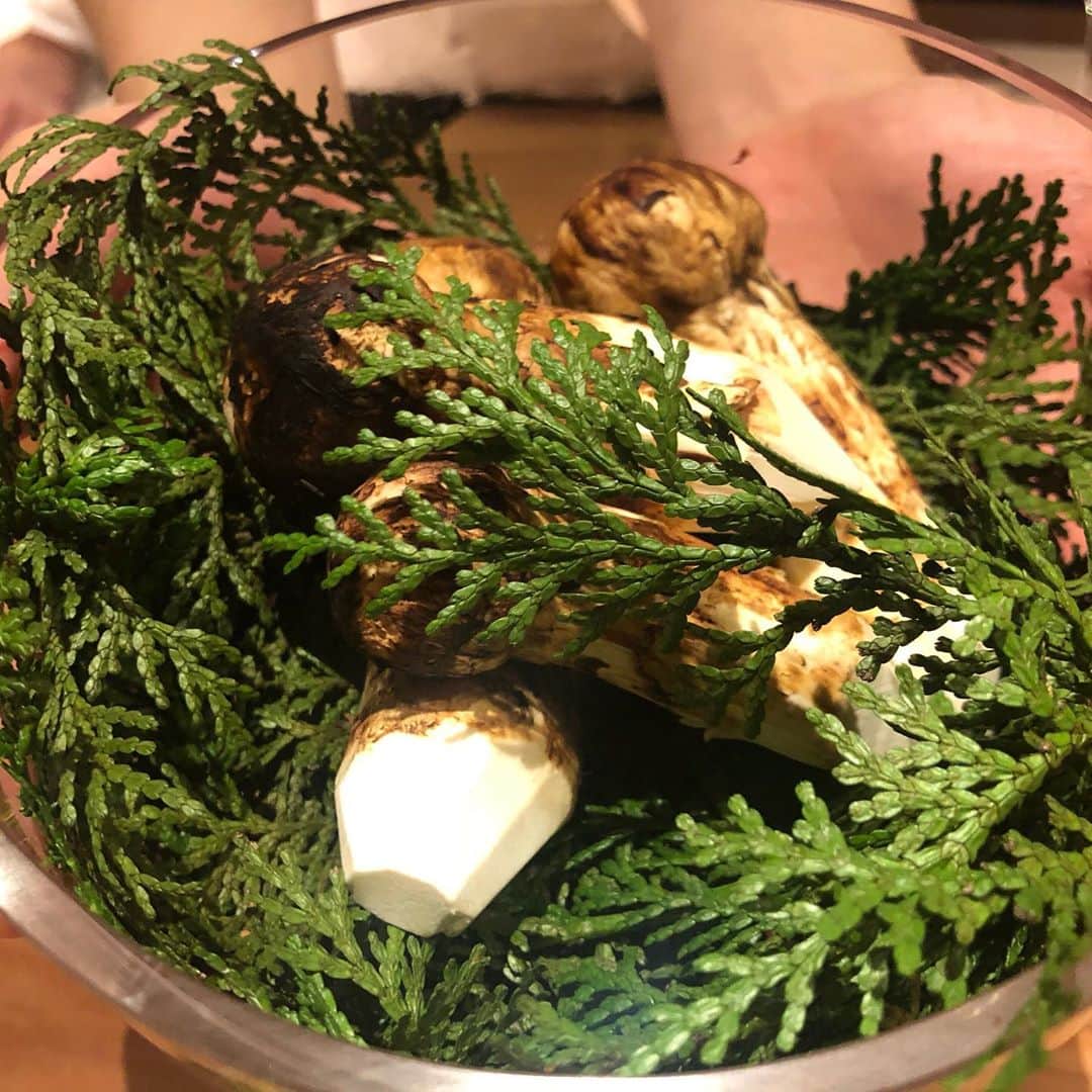 宇佐美進典のインスタグラム：「神楽坂の石かわグループの新店NKへ。ここ30年前にバイトしていたBAR mintと同じ場所。内装は全く違うけれど懐かしい思いでいっぱいでした。料理は和食と洋食の絶妙なハーモニー。器も楽しくて遊び心満載。美味しかったです！秋メニューって事で初モノの松茸も。再訪決定！　#NK #神楽坂 #松茸 #石かわ」