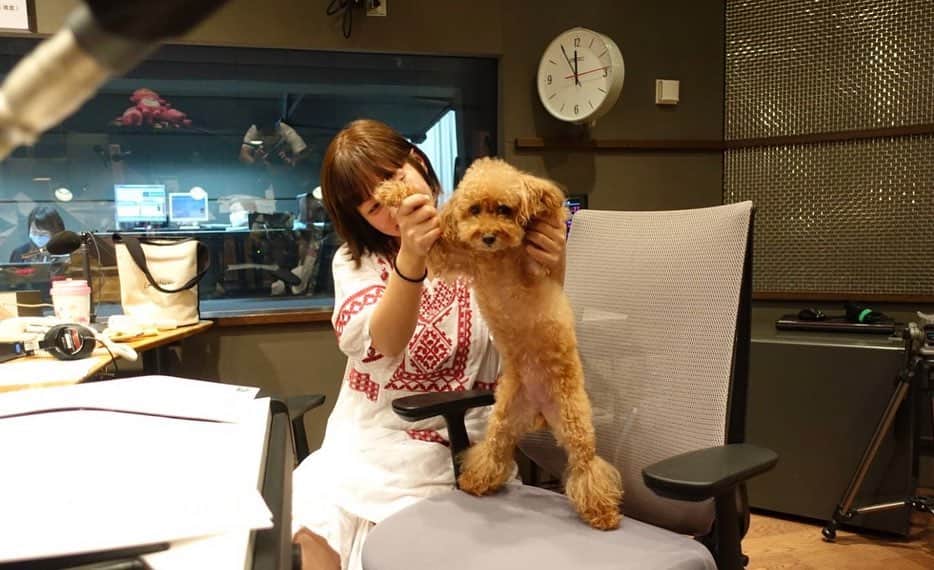 近藤夏子さんのインスタグラム写真 - (近藤夏子Instagram)「愛しのアンちゃま😍 しゃべってくれたらいいのになぁ、、と思ったり、しゃべると文句言われそうでこわいなぁーと思ったり。。笑) なにを考えているんだろう？？ 1枚目と3枚目は明らかに不服そうやけどな🤠 #アンちゃま #abcyonayona #ラジオ #愛犬 #トイプードル  #よなよなはいつもお風呂入ってから行って終わって2分でタクシーに乗って30分後には布団の中で寝ようとするけどアドレナリン出まくってて結局3時ごろまで寝れない」9月4日 21時55分 - kondonatsuko