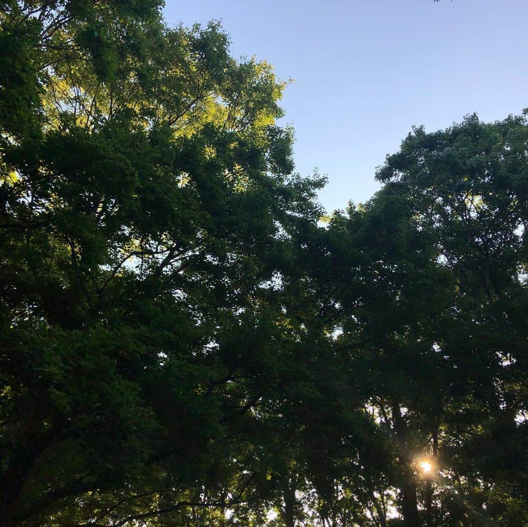 島本真衣さんのインスタグラム写真 - (島本真衣Instagram)「おはようございます☀ 早朝ウォーキングをしてきました👟 月と太陽が🤍 素敵な一日になりますように✨  #青空 #白い月 #眩しい太陽 #島本真衣」9月5日 7時30分 - mai_shimamoto_ex