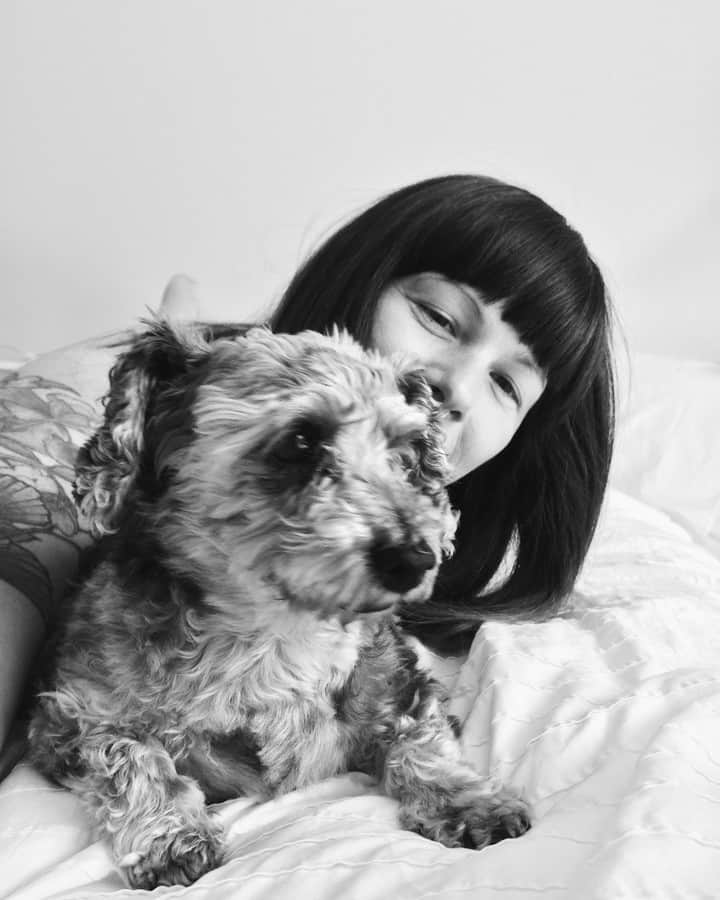 Robin May Flemingのインスタグラム：「I love time travelling back through old favourites. 🖤 Speaking of time travel, a funny thing happened: Two people in the past 24 hours have reminisced about following Gracie here on Instagram since she was a puppy. I wonder how that particular seed got planted.  Gracie was born in 2004. I posted my first Instagram photo in 2011.」