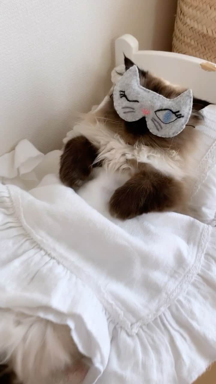 plumeのインスタグラム