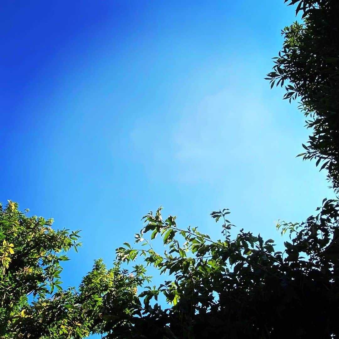 浅田信一さんのインスタグラム写真 - (浅田信一Instagram)「朝ジョグでおはよう。 ここの空は真っ青だけど西日本は台風の影響が心配だね。九州の皆さんお気をつけて。」9月5日 8時09分 - asada_shinichi