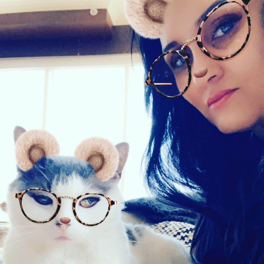 メリッサ・アンダーソンさんのインスタグラム写真 - (メリッサ・アンダーソンInstagram)「#sideeye #catsofinstagram #angrycat Follow my baby @graciedeadrich」9月5日 0時01分 - realfuturelegend