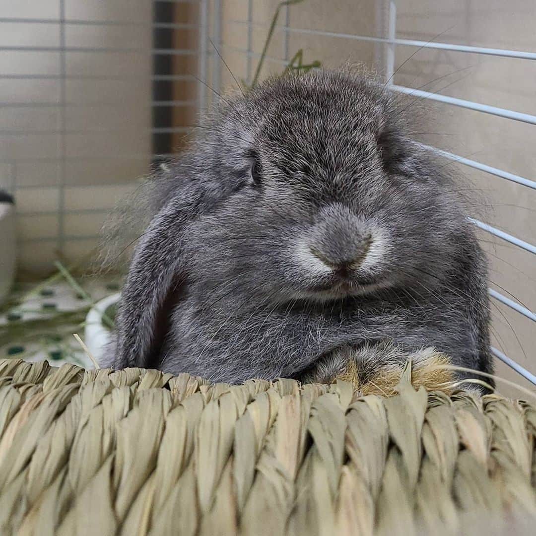 三宅裕子のインスタグラム