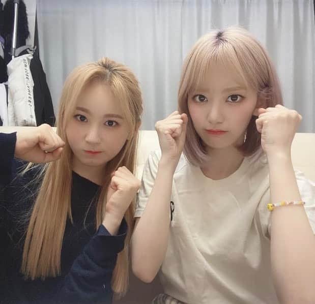 h3artbrak3rsさんのインスタグラム写真 - (h3artbrak3rsInstagram)「… #hkt48 #IZONE #아이즈원 #アイズワン  #sakura #宮脇咲良 #미야와키사쿠라 #さくら #chaeyeon #이채연 #チェヨン #vlive」9月5日 0時10分 - h3artbrak3rs