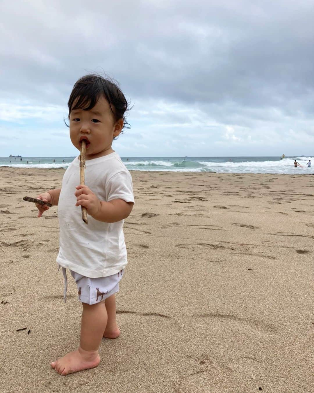 DABOさんのインスタグラム写真 - (DABOInstagram)「海デビューよかったね🏖 でも枝はね、食べちゃダメなんだよ」9月5日 0時43分 - fudatzkee