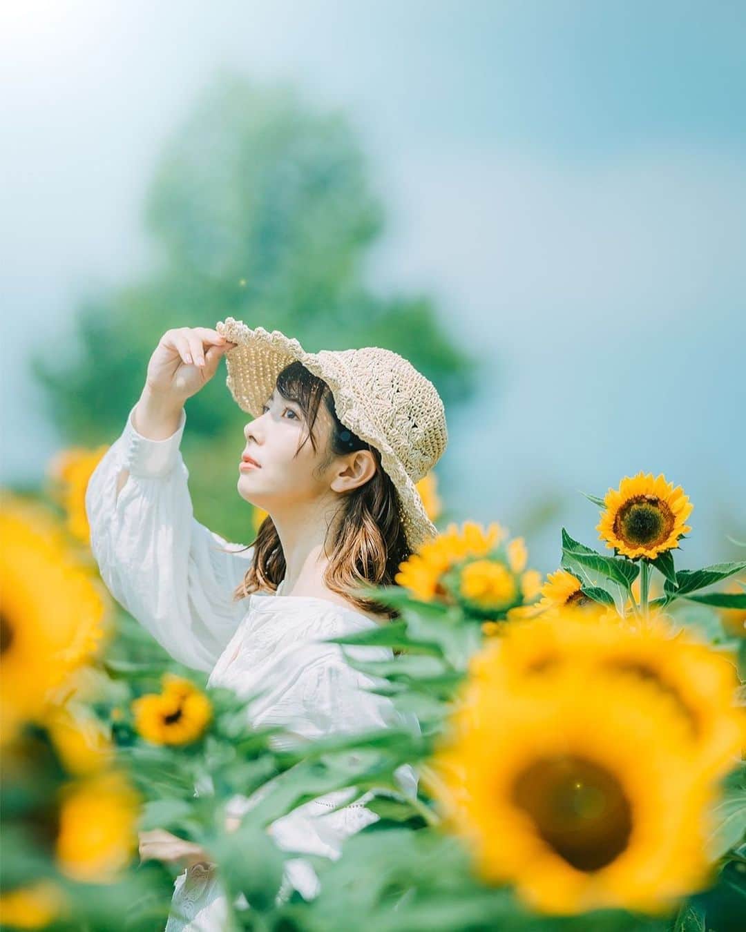 のインスタグラム：「長年被写体してる人やけど 向日葵初なんだよね🌻 ちなみに彼岸花も撮影したことない(笑) 前まで撮影と食べる事が好きなことだったけど、ころな太りで減量を始めてから｢食べること｣への執着がかなりマシになった🐖 今は撮影とムエタイを頑張ってる自分が好きかなぁ🤔⁉️足は痣だらけになるけど、スパーリング楽しいし。。。。まぁ飽き性なので次何ブームが来るか分からないけど🎵 photo @mina0822_photo  #igers  #japan_photo_now #good_portraits_world  #closeupphotography  #closeup_archive  #500px  #1x #team_jp_  #art_of_japan_  #lovers_nippon  #ig_phos  #tokyocameraclub  #instagramjapan  #japan_of_insta  #japan_art_photography #instagram #igersjp  #ig_japan #ビジョビ  #instalove  #officelady」
