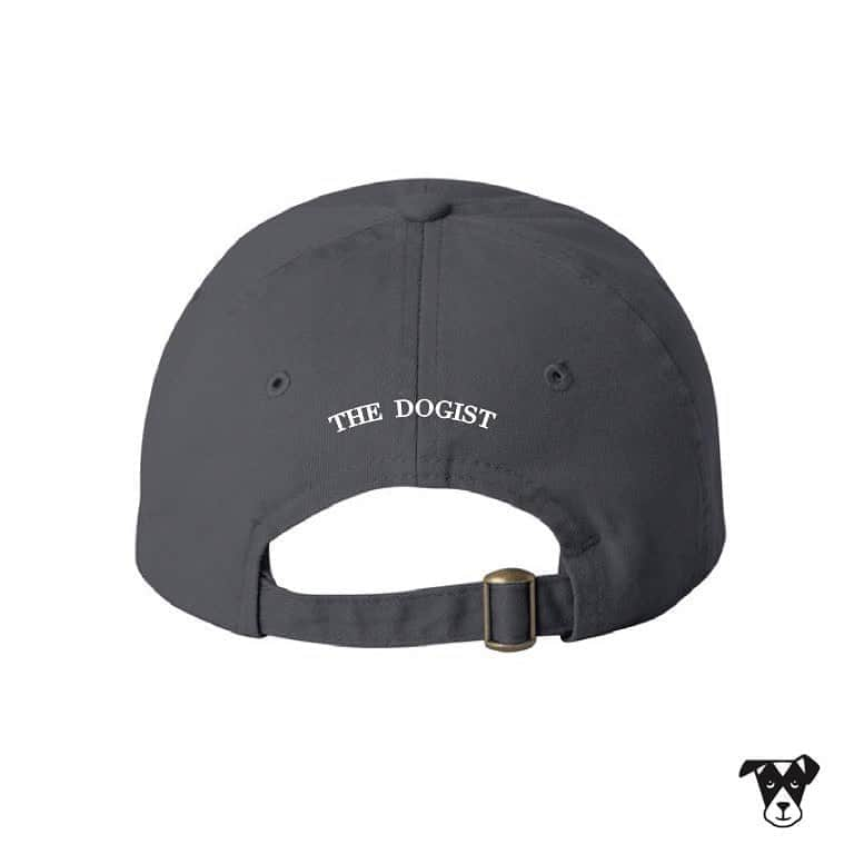 The Dogistさんのインスタグラム写真 - (The DogistInstagram)「Introducing the first audience designed Dogist hat! This hat states something seemingly obvious, but sometimes you need to remind everyone you come across that dogs are, indeed, better than people. The Dogist community voted on every aspect of this hat – the phrase, the font, and the hat’s color. Don’t let your thoughts on the dogs vs people debate go unheard for another day. Order yours now before they’re gone – they’re available until MIDNIGHT tonight EST! Shop now at the link in bio.」9月5日 1時00分 - thedogist