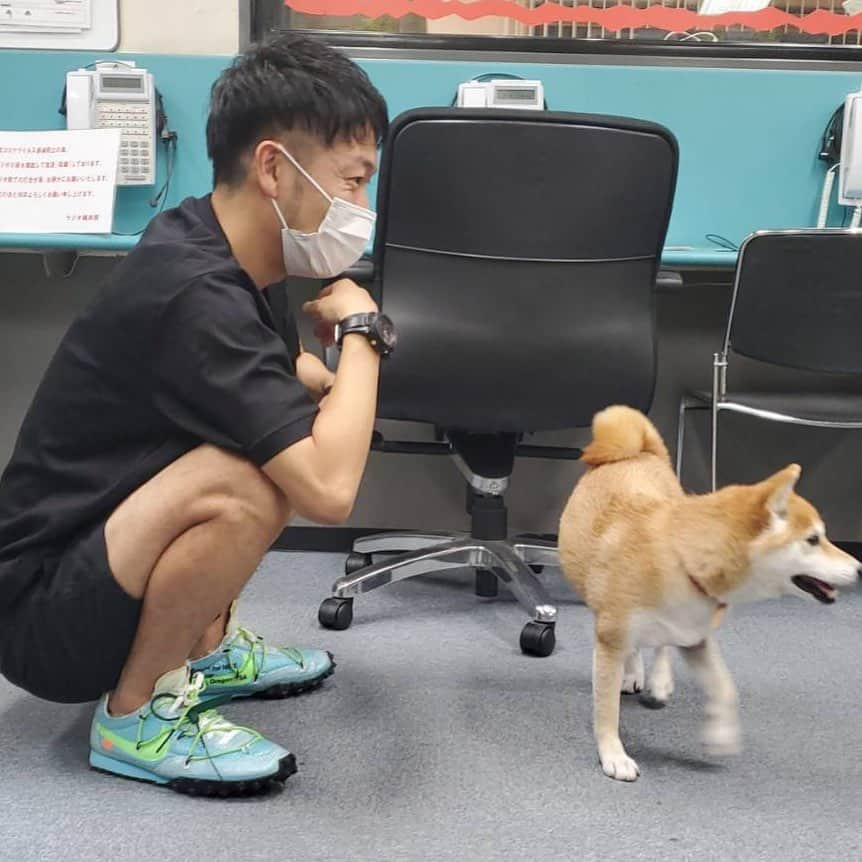 秋山賢太さんのインスタグラム写真 - (秋山賢太Instagram)「山名おまめ。 好き好き好きーーーー！！！！！ こっちむいてーーーー！！！！！ こっちむいてくれなくても好きーーーーー！！！！  #山名おまめ #山名くんの愛犬 #ヤンフラ #アキナ #超能力戦士ドリアン #おっちー」9月5日 1時18分 - akiyama.0624