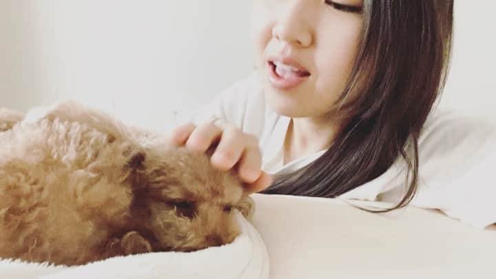 阿部真央のインスタグラム：「みんなの今日を聴かせてくれてありがとう！  明日もいっぱい笑えますように🤗  おやすみなさいませ✨  #白雪姫 #snowwhite  #disney  #迷惑そうな犬」