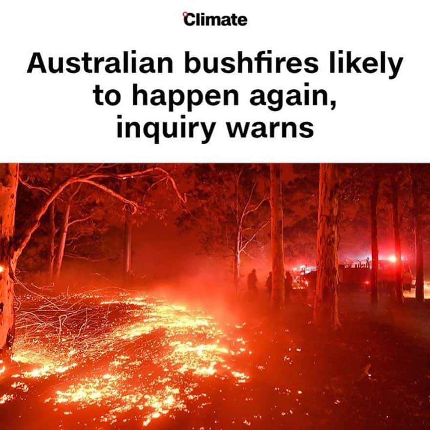 レオナルド・ディカプリオさんのインスタグラム写真 - (レオナルド・ディカプリオInstagram)「From @cnnclimate: Australia's record-breaking 2019-20 bushfires were likely made worse by climate change, an inquiry has found, warning that such devastating wildfires are likely to happen again. Next time, the fires could even be "potentially worse," according to the report, which was released Tuesday. The New South Wales Bushfire Inquiry was formed in January and examined the worst Australian fire season on record. The report categorized the fires as "extreme, and extremely unusual," but warned "it is clear that we should expect fire seasons like 2019-20, or potentially worse, to happen again." Tap the link in @cnnclimate’s bio to learn more.⁠  (📸: Saeed Khan/AFP via Getty Images)」9月5日 1時36分 - leonardodicaprio