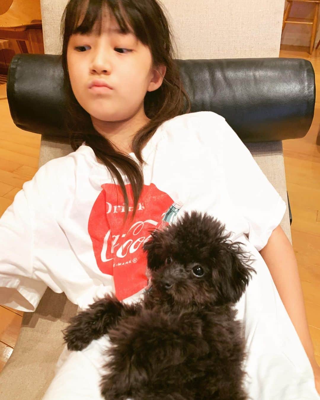 小林三江子さんのインスタグラム写真 - (小林三江子Instagram)「イリコとタンコ❤️🖤  #mydeariris #イリタン  #tan_44 #kawaii #puppy #puppydog #toypoodle #toypoodleblack #といぷーどる #といぷーどる黒 #トイプードル #トイプードルブラック #パピー #子犬」9月5日 2時47分 - mieko_kobayashi
