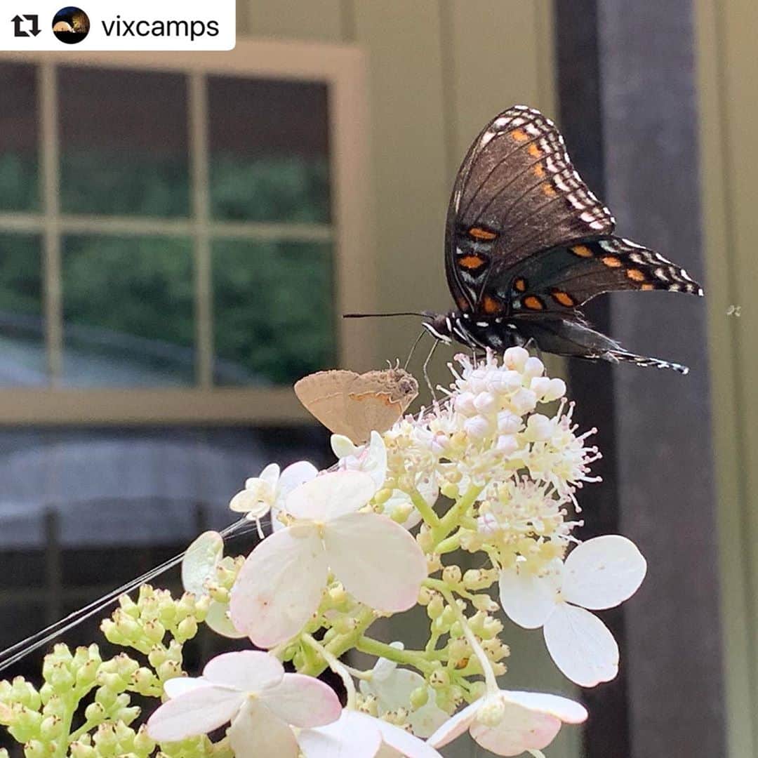 ヴィクター・ウッテンのインスタグラム：「Life at Wooten Woods」