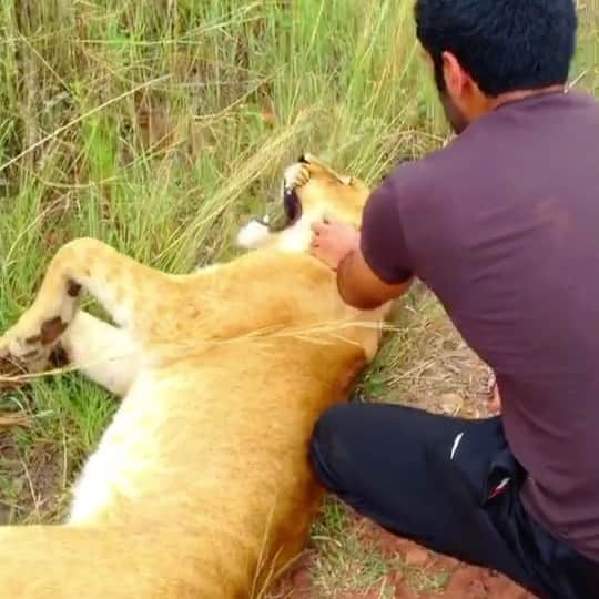 سعودのインスタグラム