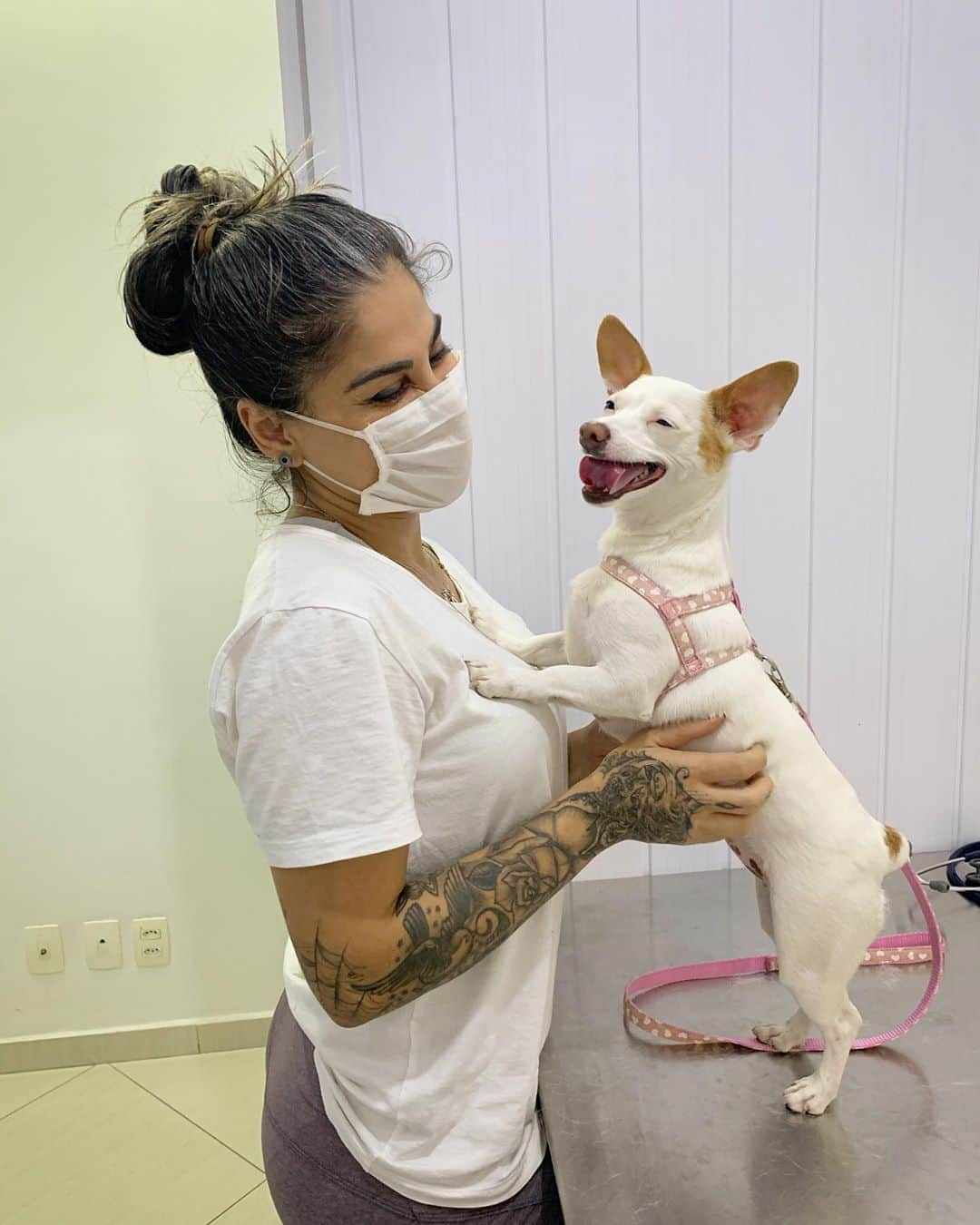 バネッサ・メスキータさんのインスタグラム写真 - (バネッサ・メスキータInstagram)「♥️ dia de vacina 💉   #medicinaveterinaria #medvet #medvetporamor #doglovers #adoteumamigo」9月5日 3時41分 - vanmesquita