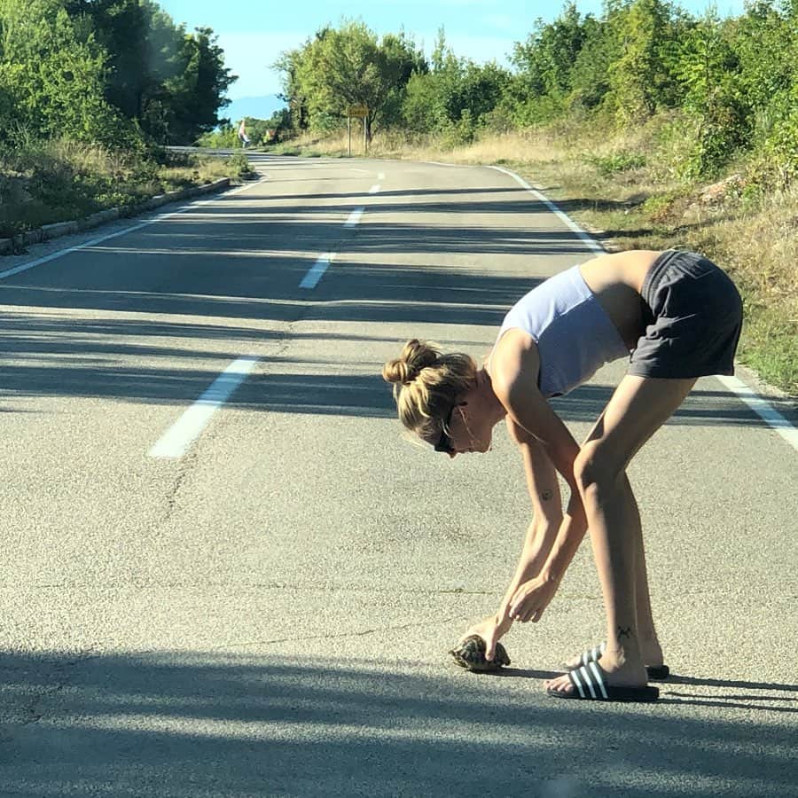 Lexi Bolingのインスタグラム：「The highlight of my day 🐢💚 helping this little buddy cross the road 😊😊😊」