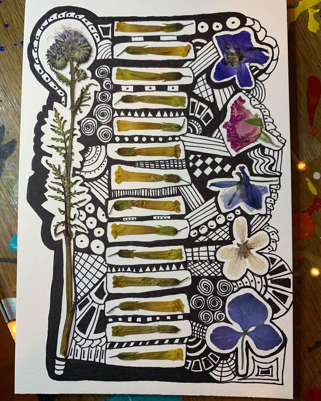 ロージー・オドネルさんのインスタグラム写真 - (ロージー・オドネルInstagram)「no filter #pressedflowers #doodles #zentangle #artheals #voteHIMout」9月5日 5時23分 - rosie