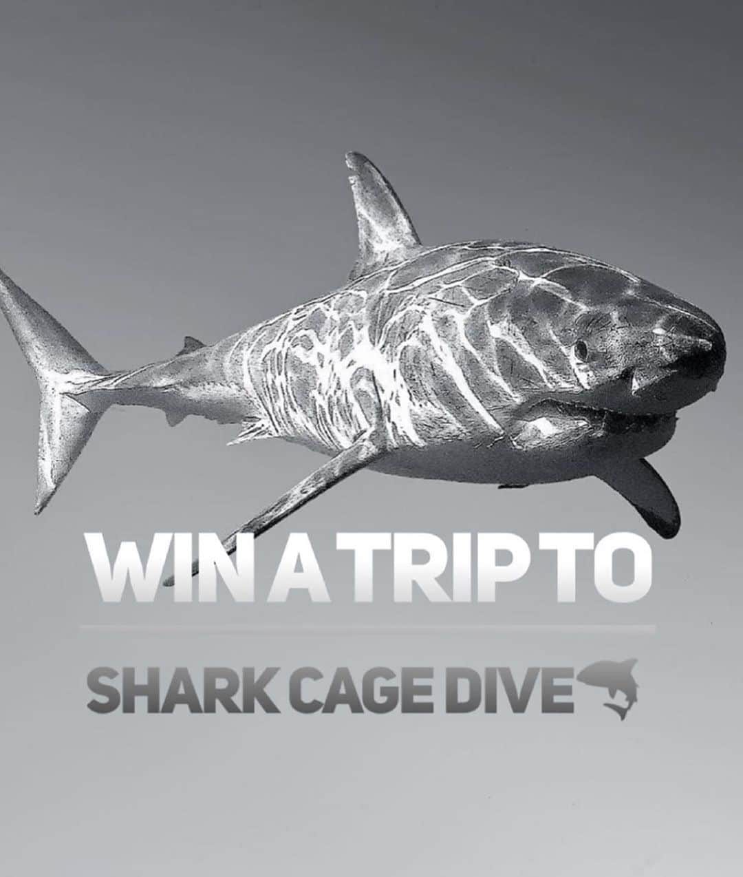 WildLifeのインスタグラム：「🚨 2021 GREAT WHITE SHARK GIVEAWAY! WIN A 5 DAY LIVEABOARD TRIP TO GO SHARK CAGE DIVING IN GUADALUPE ISLAND  ONBOARD THE  @solmarv , To WIN:  1.GO Follow: @discoversharkstours and also follow every account they are following (it only takes 10 seconds to follow all accounts)  2. Like this post  3. Tag a friend. 4. (Bonus) Share this post on your IG Story for an additional entry!  The winner will be chosen randomly ‪on October 5th 2020 & announced on @discoversharkstours account LIVE   Congratulations to im_tripped_ for winning our last Giveaway!   Rules:  Is Mandatory to follow all accounts from @discoversharkstours if the winner is chosen and the person doesn’t follow all accounts the winner will be disqualified.   Please Note: This sweepstake is in no way sponsored, administered, or associated with Instagram, PayPal, TransferWise, or any Brands in the contest images. By entering, entrants confirm they are 18+ years of age, release Instagram of responsibility, and agree to Instagram's term of use. / Photo by @jalilnajafov」