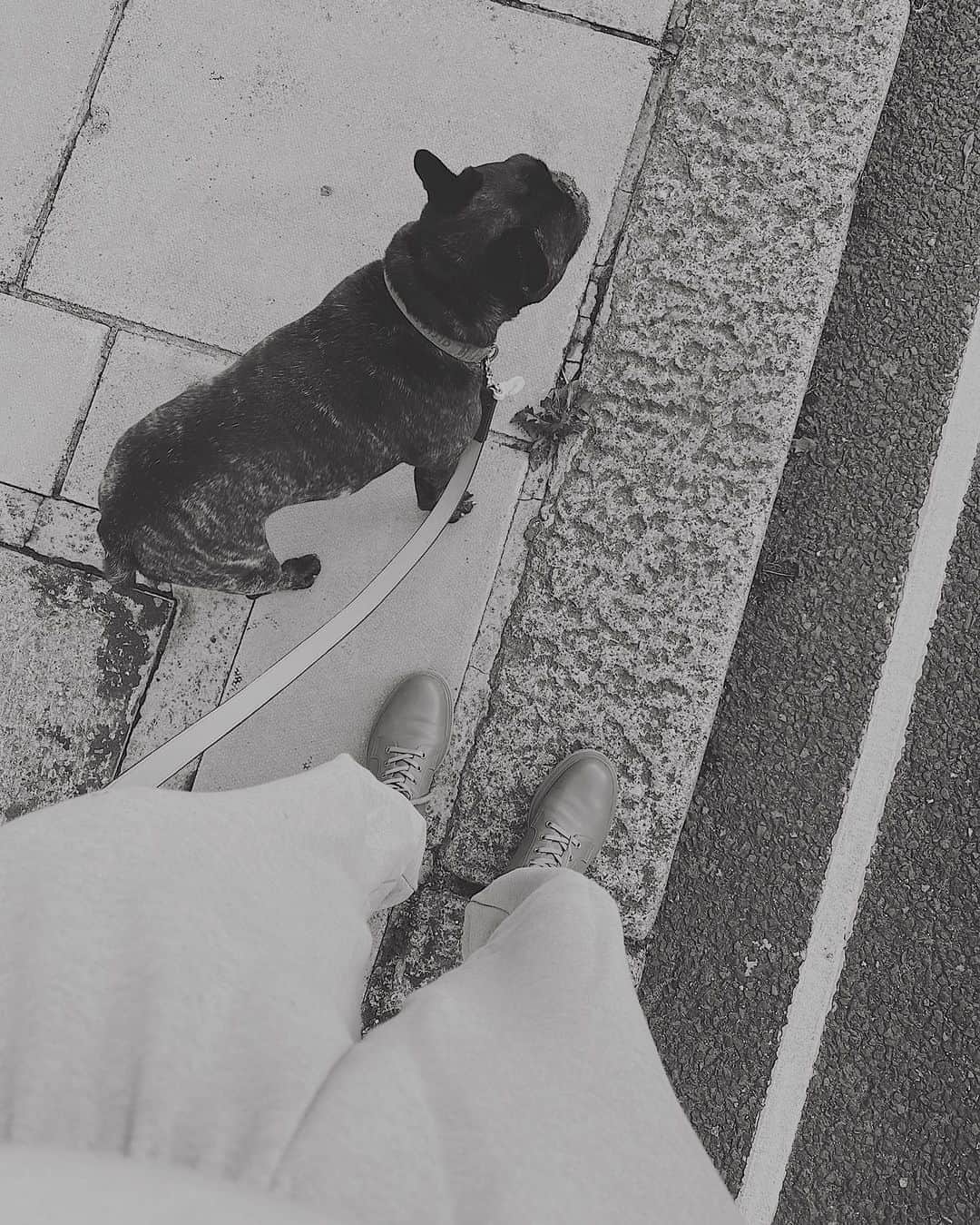 シャニーナ・シャイクのインスタグラム：「Early morning walk 🐾」