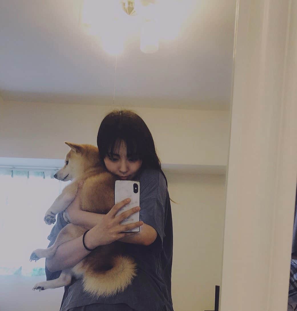 矢吹世奈のインスタグラム：「love #犬」