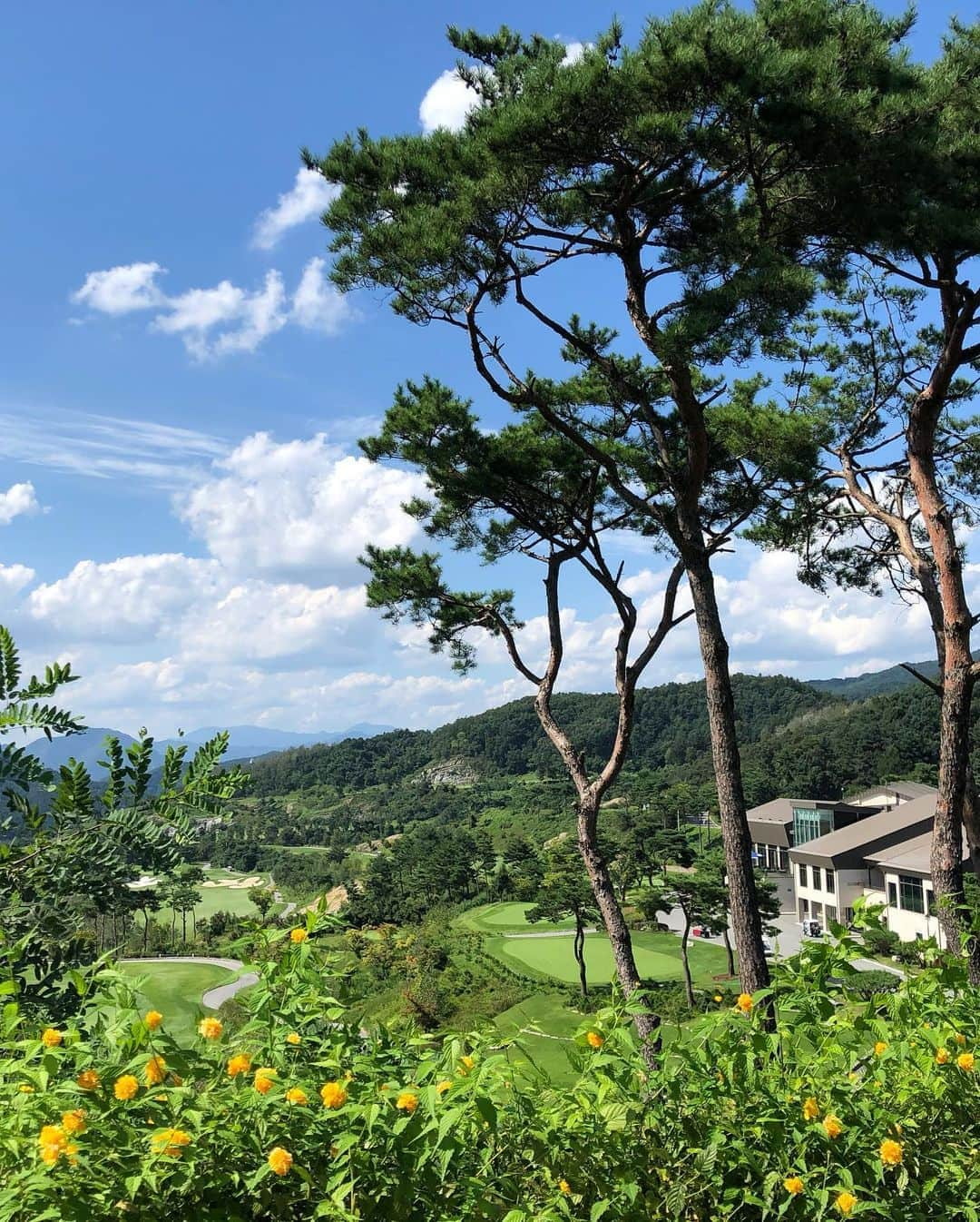 シン・ジエさんのインスタグラム写真 - (シン・ジエInstagram)「날씨가 좋다 👍 good👍」9月5日 17時27分 - jiyai_shin