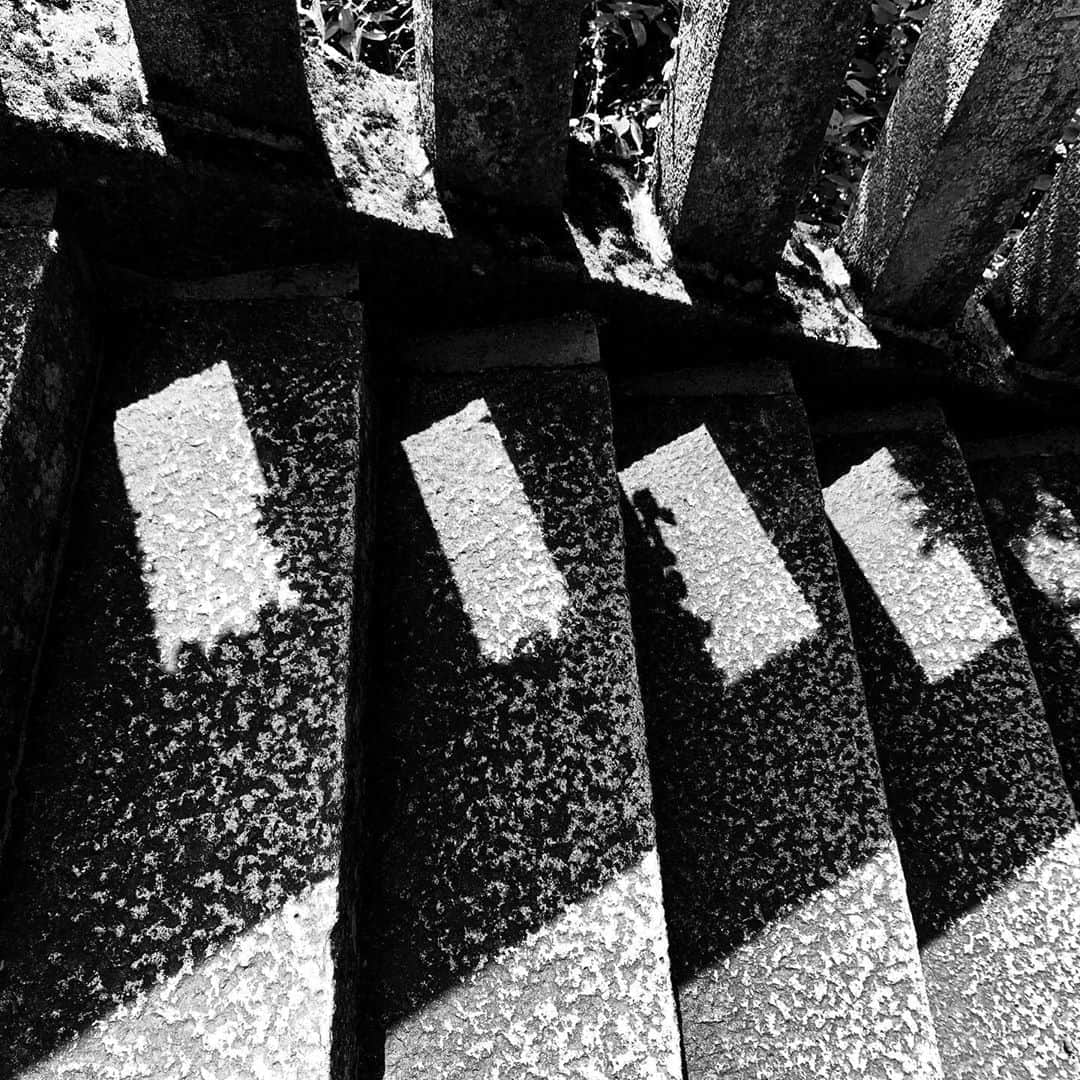 naotakeのインスタグラム：「階段 - Stairs / iPhone XR & Snapseed, 20200906 . . 昼飯を食べそびれたので、夕飯はガッツリ豚カツ。 . . #spicollective #royalsnappingartists #infamous_family #rsa_main #infinity_photo_cult #2_fineart #jp_gallery_member #jp_gallery_bnw #trb_bnw #wp_bnw  #bnw_life #bnwlife_member #bnw_life_shots #bnw_captures #world_bnw #top_bnw #team_jp_ #team_jp_モノクロ #ig_energy_bw #ig_nihon #streetphotographybnw #igersjp #blackandwhite #bnw #bnwphoto #monochrome #bw #bnwphotography #ShotOniPhone #shotoniphoneXR」