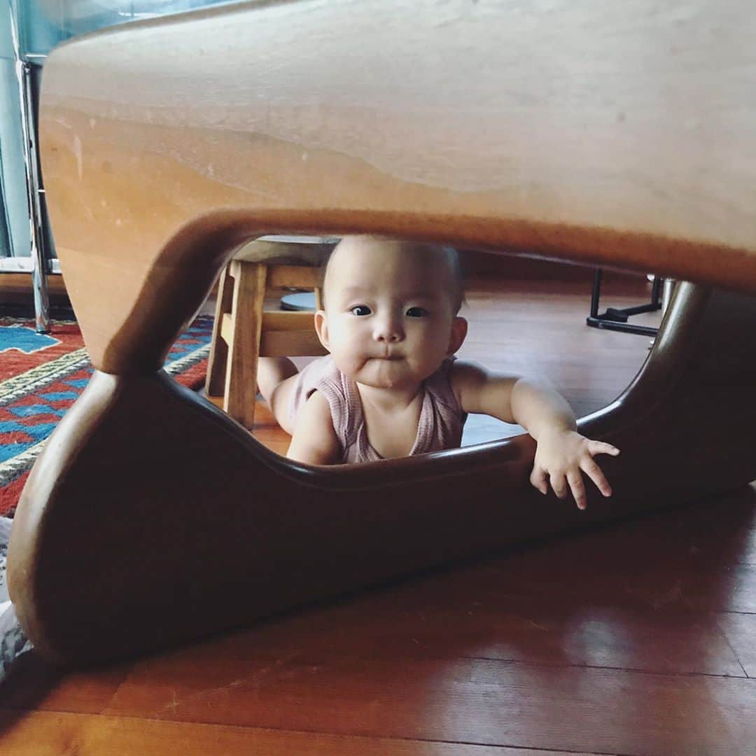 のインスタグラム：「明日で五ヶ月の次女👶💕 三人目の可愛さに毎日ただただ癒されています。  三人目でこんなに可愛いなら、四人産むとどうなるの？ 今でさえ、目尻が垂れっぱなしなのに笑  幸せの塊❤️👶 #三児の母 #イサムノグチ#から #こんにちは #👦👧👶🐶🐶🐱」