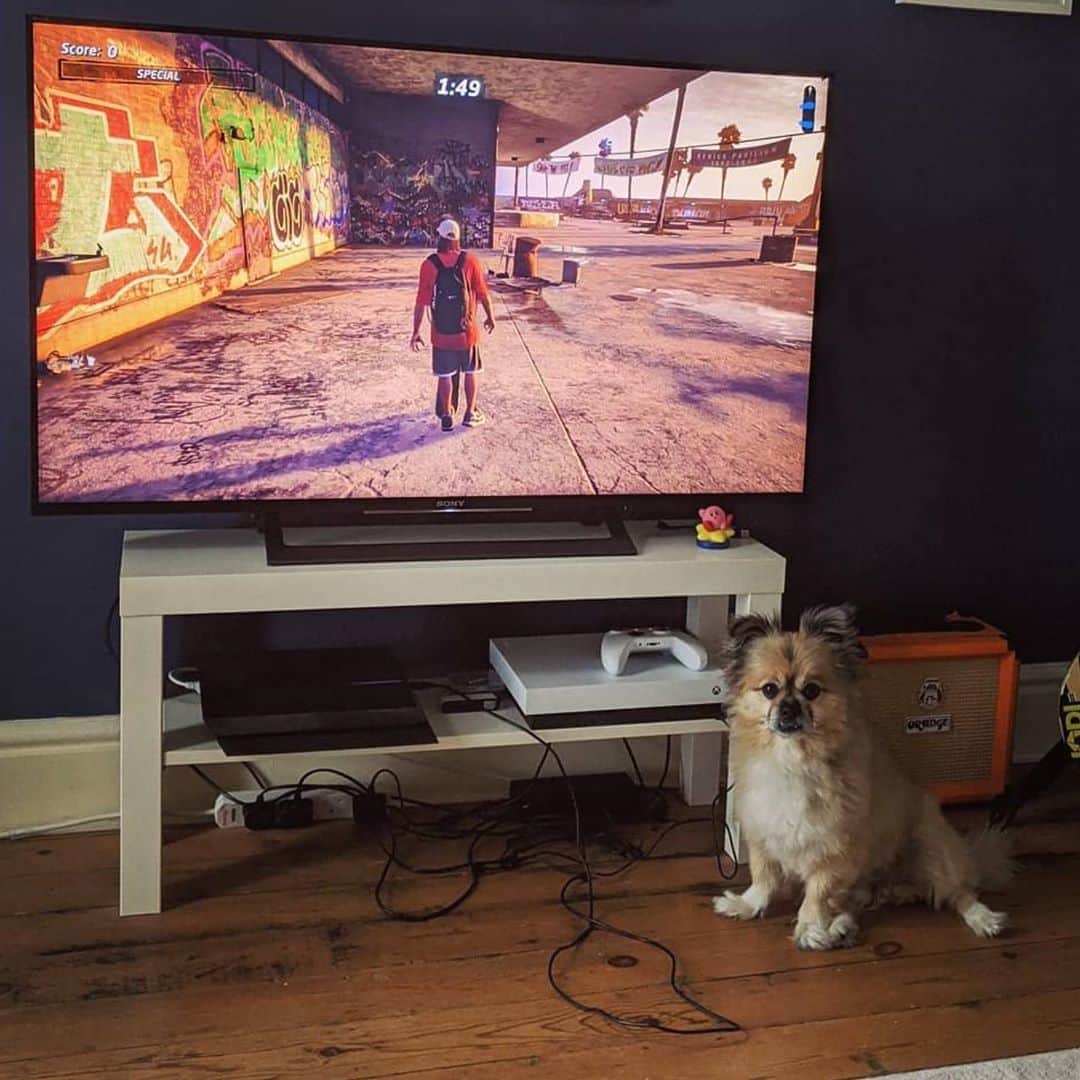 Zebraheadさんのインスタグラム写真 - (ZebraheadInstagram)「Have you guys heard " All My Friends are Nobodies" on the new Tony Hawk Pro Skater 1+2? We're lurking in there somewhere!  #Zebrahead #braininvaders #tonyhawkproskater #tonyhawk #videogames #dogsofinstagram  📷 by @jodiphotography」9月5日 9時26分 - zebraheadofficial
