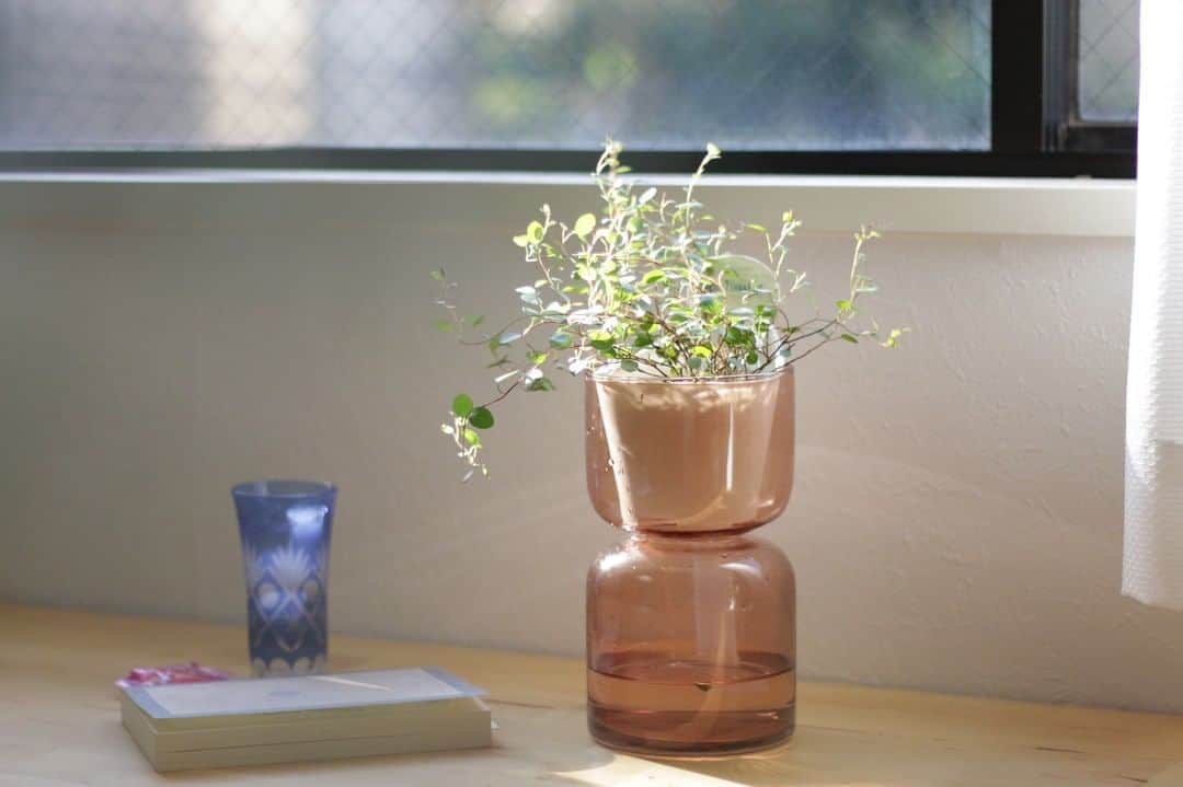 LOVEGREEN -植物と暮らしを豊かに。のインスタグラム