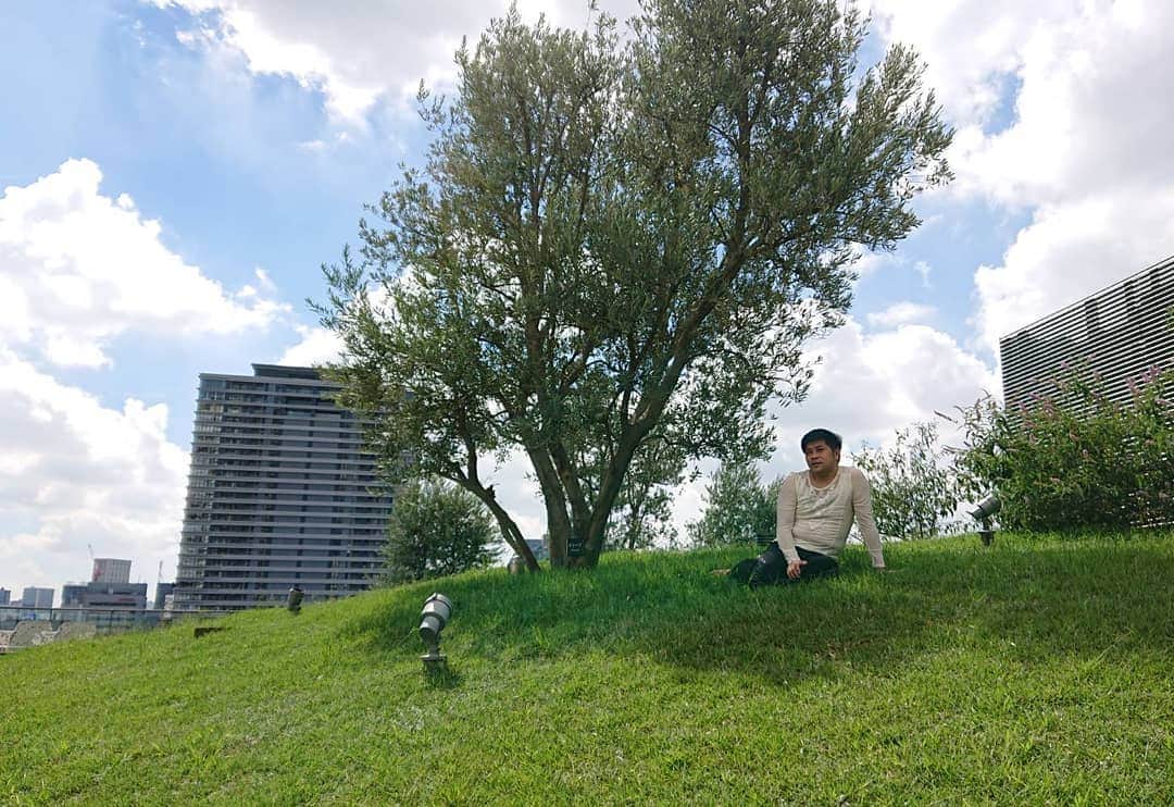守谷日和さんのインスタグラム写真 - (守谷日和Instagram)「. 暑い日が続きますね。 木陰で休んでみては。  暑中見舞い。 . #表現力選手権 #オリーブ」9月5日 10時32分 - moriyabiyori