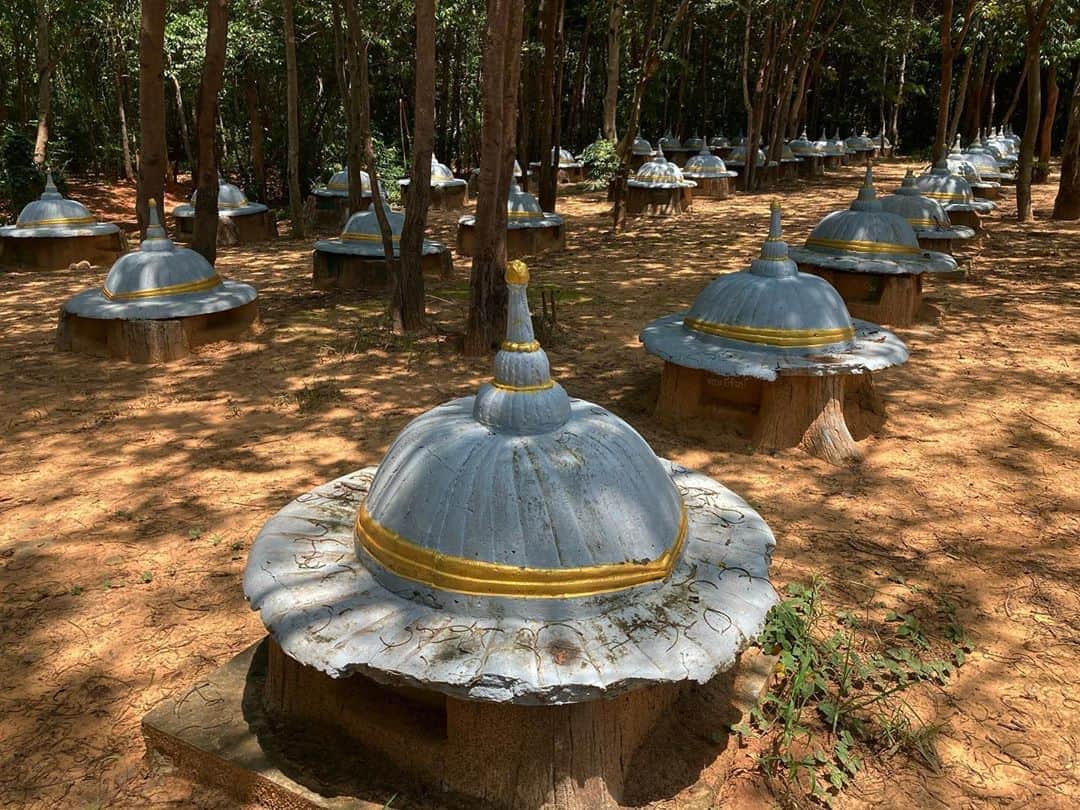 のインスタグラム：「Photo by @amandamustard  While visiting local mahouts and their elephants to see how they’re weathering the pandemic, I made an unexpected visit to a Buddhist elephant graveyard in Ban Ta Klang, the ‘elephant village’ of Thailand.  #thailand #asianelephants #animalwelfare #surin」