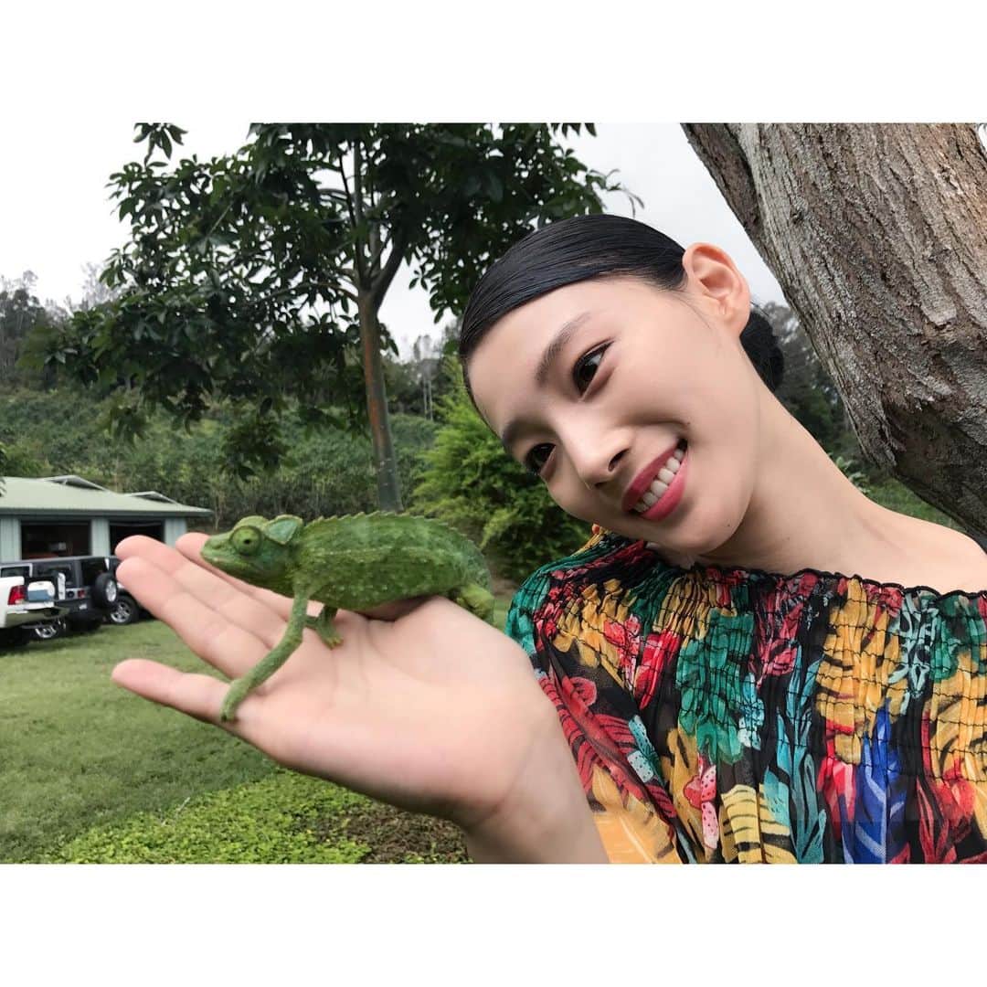 江田友莉亜さんのインスタグラム写真 - (江田友莉亜Instagram)「@tabisalad  私の忘れられない世界 ハワイの旅をお届けしました🌺いかがでしたか？ 少しでも自然に癒されて頂けていたら嬉しいです‼︎‼︎  次の国はどこかな🤫🤍お楽しみに‼︎」9月5日 10時51分 - edayuri_official