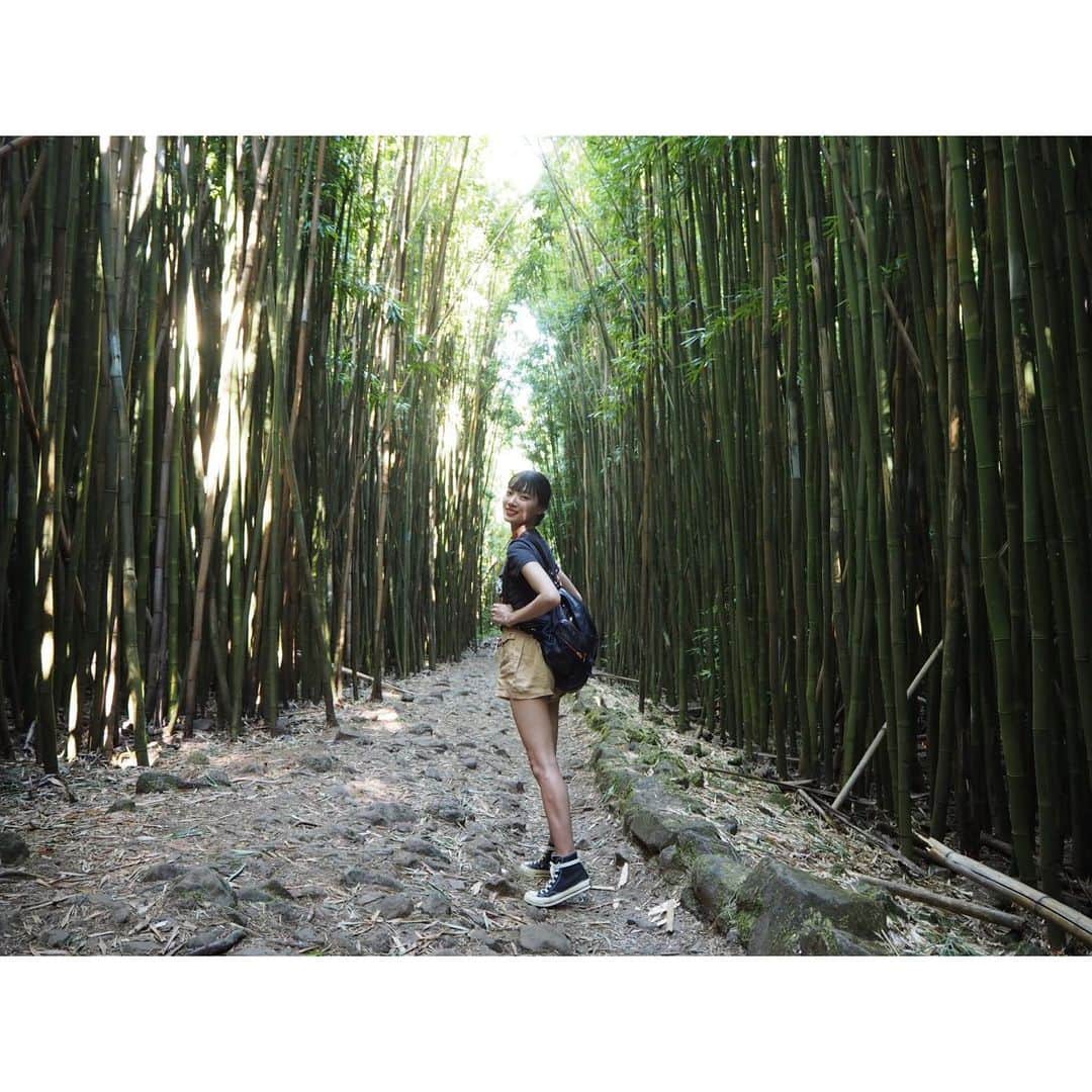 江田友莉亜のインスタグラム：「@tabisalad  私の忘れられない世界 ハワイの旅をお届けしました🌺いかがでしたか？ 少しでも自然に癒されて頂けていたら嬉しいです‼︎‼︎  次の国はどこかな🤫🤍お楽しみに‼︎」