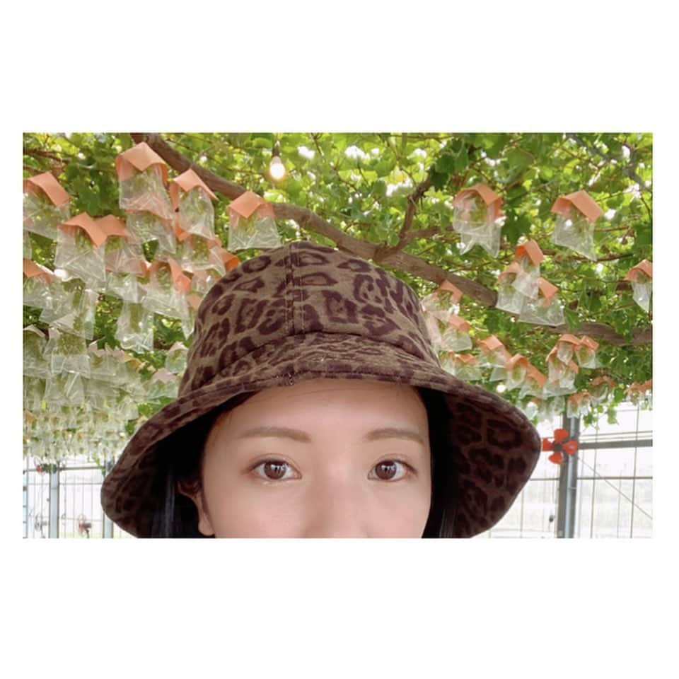 入来茉里さんのインスタグラム写真 - (入来茉里Instagram)「9月🍇start #september #mascat #2020」9月5日 11時48分 - iriki.mari_official