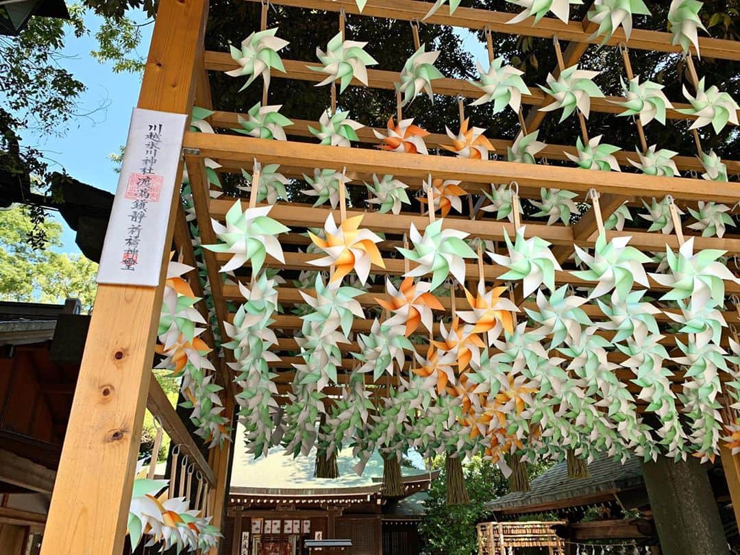 川越氷川神社さんのインスタグラム写真 - (川越氷川神社Instagram)「. かざぐるまも明日まで。  午後から天気が変わりやすいようです。お越しの際は傘をお忘れなく。  #川越氷川神社  #川越  #kawagoe  #かざぐるま  #越えていこう川越」9月5日 11時50分 - kawagoe_hikawa