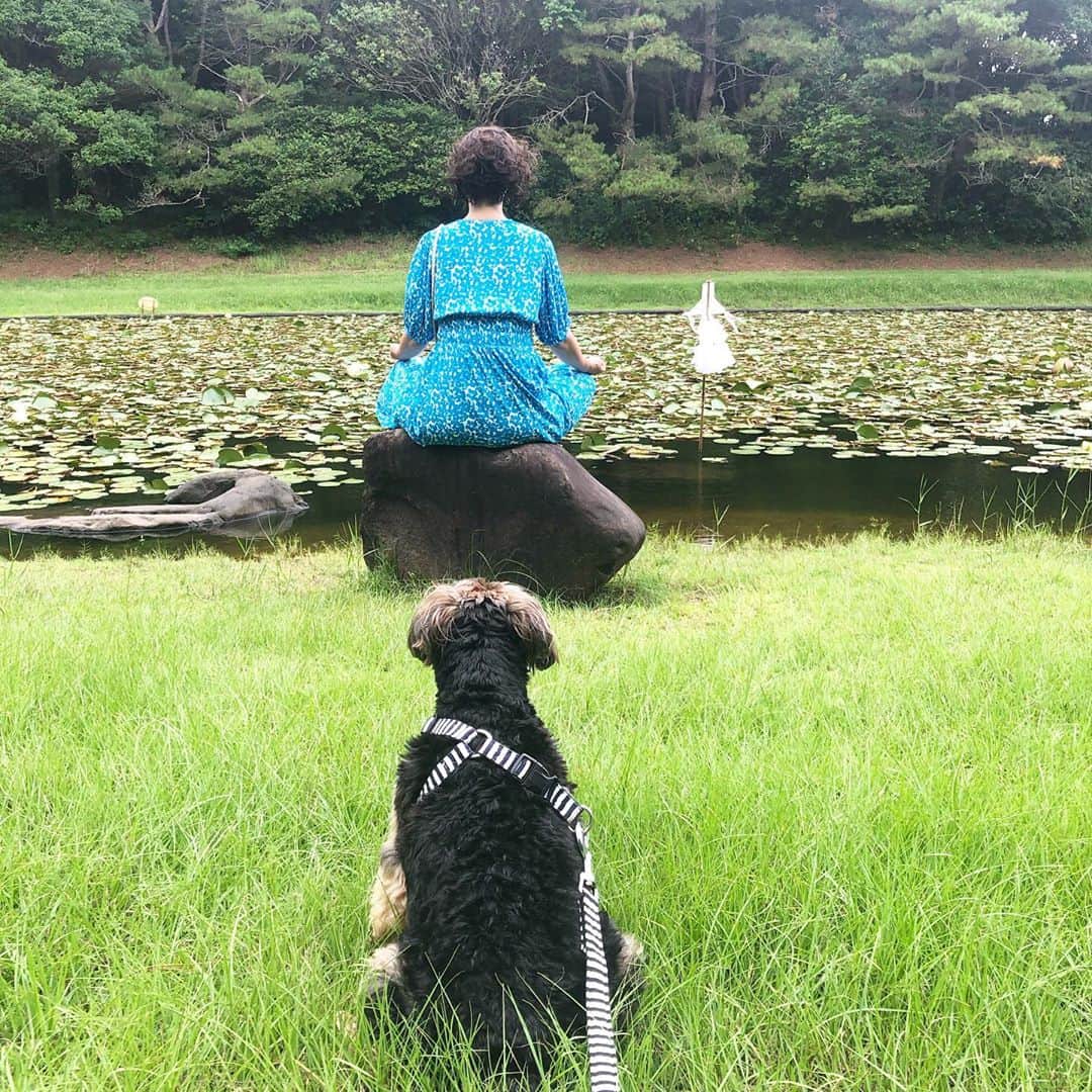 千葉アリサのインスタグラム：「天赦日満月　#frommynote   過去からくる悲しみ、 今感じてる悲しみを 抱きしめて赦せたとき、  慈悲の心を知るのかもしれない。 と感謝で涙溢れた日を　思い出した。 （前夜にそんな気持ちになってたからやも）  自らの痛みや悲しみを 見つめて　抱きしめ　手放す時に 生まれた感情は、人や世界の それも慈しめるのだと思った。  自分を赦せたら　人も赦せる。 自分を愛せたら　人を愛せる。  内にあるものが外にでるものだから。 逆に言ったら内にあるものしか外にだせへん。  人は　慈悲の心を学ぶために 悲しみを経験するのかもしれないな  本当の愛を知る（思い出す）ために。 すべてが背中合わせだから。  言葉は入れものだけど（言葉になるとパワフル）この感情は何と表現するんだろう？と考えるのは　やっぱり面白い。（そんなことばっかりやってたなw）#人間だもの  天は　宇宙は　すべてを赦す。 過去を赦す。今を生きるなら。  破壊したり手放したりして できた隙間に　新しい風が吹き抜ける  新しい時代を創っている。 ここにいのち在るもの　みんなで🌍💫  自然と共存し、仲間と手と手をとって。 心を合わせる。魂のままに。  世界中の悲しみが癒されますように。 台風の被害が大きくなりませんように。  - 🧘‍♀️🌝 -  #天赦日　#禊が池　#浄化　#mindfulness #meditation  #pray」