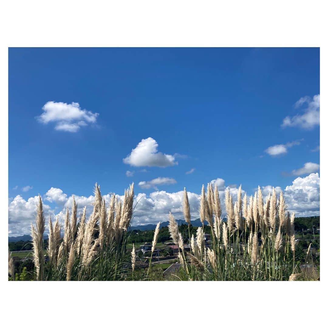 千葉アリサのインスタグラム：「💙🌾  #雲のかたち  #車窓からパー子」