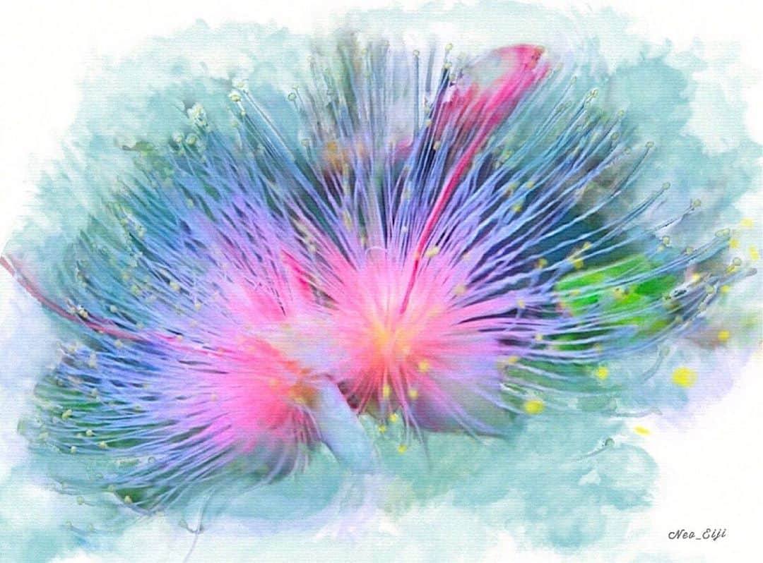 ねおさんのインスタグラム写真 - (ねおInstagram)「幻の甘い香りのサガリバナ   一夜限りの儚き誘ひ  ねお  沖縄～奄美の湿地帯に自生する「サガリバナ」は夏に一夜だけ咲く幻の花で、見ると幸せになります。夜にゆっくりと蕾を開かせ、甘い香りを放ち虫達を誘います✩︎⡱ #followme #instagood #tagsforlikes #sketch_dailydose #watercolor_daily #beautiful #fineart #picture #painting #sketch #art #絵描きさんと繋がりたい #絵画 #絵 #水彩画 #水彩 #水彩色鉛筆画 #アクリル #Japan #沖縄 #nature #花 #夏」9月5日 12時33分 - neoneo7