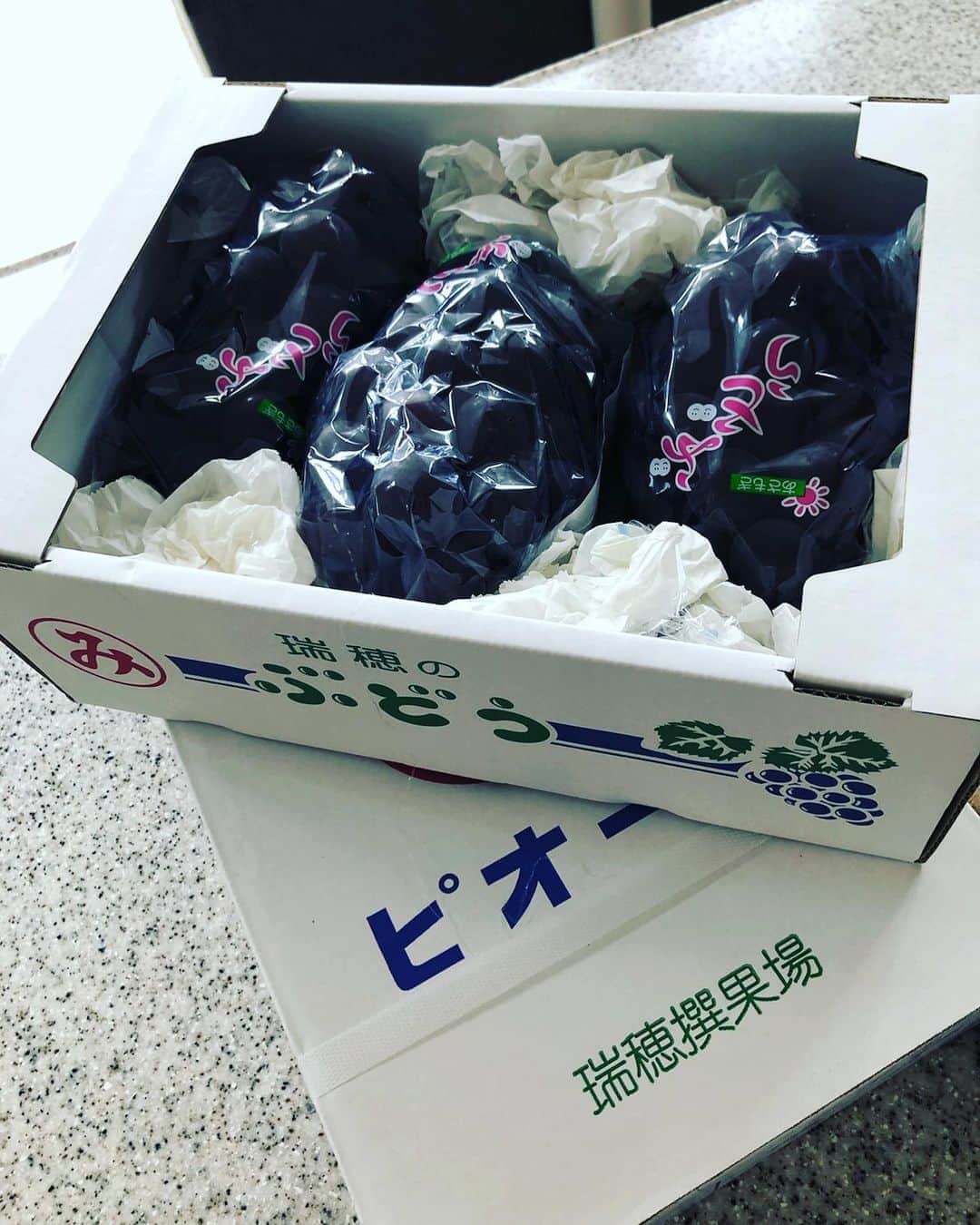 のインスタグラム：「株式会社MESSE 林社長　　毎年恒例ピオーネ！ 感謝です！有難う御座います！」