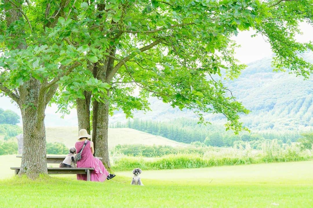 中野区在住のミニシュナのInstagramさんのインスタグラム写真 - (中野区在住のミニシュナのInstagramInstagram)「⑅︎◡̈︎* ・ 千年の森でくつろぎ中のマーブル＆イヴ＆ママです٩( ´◡︎` )( ´◡︎` )۶ こんにちワン🐾 ・ 『THE genic DAY 05』のお知らせです♫ ・﻿ 『THE genic DAY』👑﻿ 今秋は10月11日(日)に江東区夢の島のイーノの森Dog Gardenで開催致します。﻿ ・ genicユーザー様じゃなくてもご参加頂けますので、お気軽にお越し下さいませ！ ﻿ genicからは2020AWの新作の発売と撮影会を開催📸﻿ もちろん厳選プレミアムドッグフードメーカーさんやグルーミングメーカーさん、体験型コンテンツの専門家のみなさんもご出店頂きます✨﻿ ﻿ ご参加受付はイーノの森Dog Gardenの公式アカウント @ino.forest よりご確認をお願い致します。（後日受付開始となります。新型コロナウイルス感染拡大防止の観点よりご参加人数に上限がございますのでご理解の程よろしくお願い致します。）﻿ ﻿ 詳細は随時お知らせしていきます♥︎︎∗︎*ﾟ どうぞ宜しくお願い致します。 ﻿ ﻿ #ジェニッカーズ #genicers #genic_dog #しゅなら部 #ミニシュナ #シュナウザー #シュナスタグラム #シュナフル #シュナウザー部 #シュナウザー大好き #schnauzerofinstagram #schnauzer_lovers #schnauzer_planet #schnauzer_of_instagram #schnauzer_feature #inulog #犬の服 #犬の洋服 #ドッグウェア #dogwear #嫁グラフィー  #北海道旅行  #道東 #北海道ミライノート  #千年の森  #わんこと旅行」9月5日 12時43分 - marble_eve