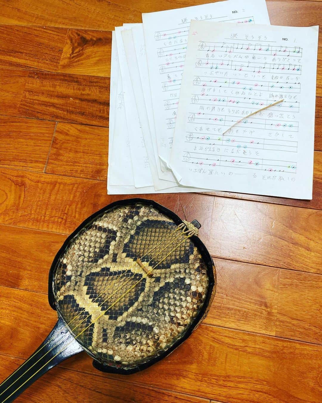 三谷晶子のインスタグラム：「そろそろお昼でも食べようとしたら、ご近所の音楽好きの方が三線持って避難してきて、「簡単な曲なら1時間で弾けるようになるから！」と強制的に三線練習中。  #加計呂麻島　 #女子的リアル離島避難所暮らし　 #台風10号　 #haishen  #typhoon」