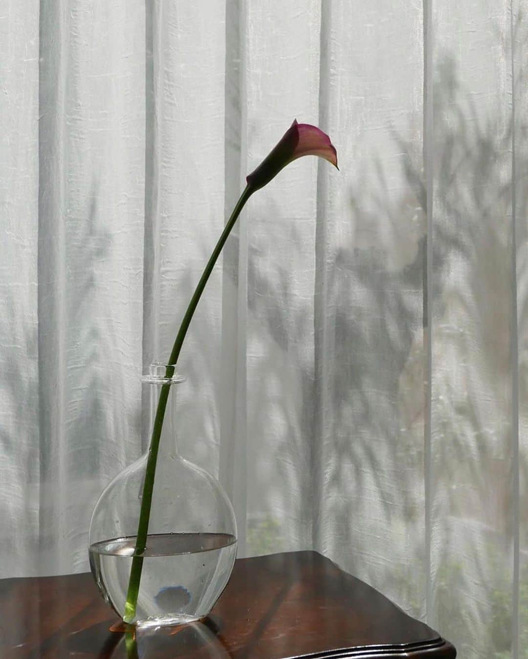 JUNNAのインスタグラム：「お誕生日にいただいたお花で賑やか  一枚目の花器はお誕生日にいただいた  @amahare  #辻野剛 さんのハンドメイド硝子　  美しい佇まい  ヴィンテージのチェストによく合う  お花を生けるのは勿論 ハンドメイドならではの味があるので、 オブジェとして飾るだけで素敵だなぁ...。  淡いピンクとグリーンのアレンジメントは 信頼するお花屋さん  @elsur1010 のもの セレクトしてくださる花材が本当に好み  アレンジメント眺めているだけで幸せ🧚🏼‍♂️  丈を合わせたり色を組み替えたり お部屋に合わせて再アレンジしたり、 空瓶に飾ってみたり。 こう言う時間が最高のギフト 痛んでしまったお花は平皿に生け 短く切って飾ってみるのも素敵 あれこれして最後まで可愛がっています💗  ありがとうございます🙏  #お花のある暮らし #花 #花器 #花瓶 #お花 #お誕生日 #お花屋さん」